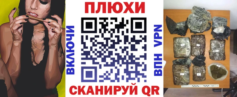 ГАШ Premium  Россошь 