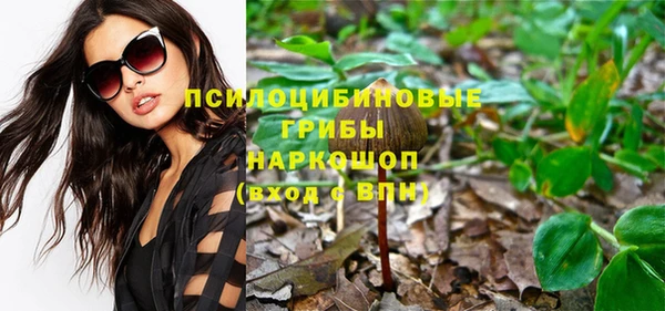 эйфоретик Абаза