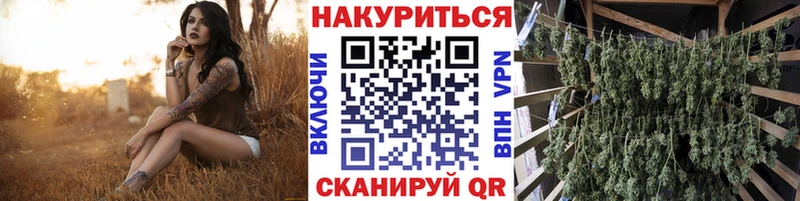 Бошки марихуана SATIVA & INDICA  Россошь 